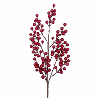 RAMO BACCHE ROSSE