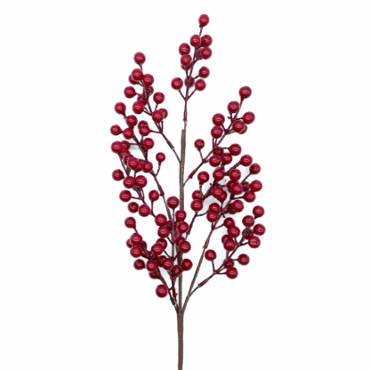RAMO BACCHE ROSSE